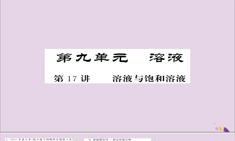 中考化学总复习 第一轮复习 系统梳理 夯基固本 第17讲 溶液与饱和溶液练习课件
