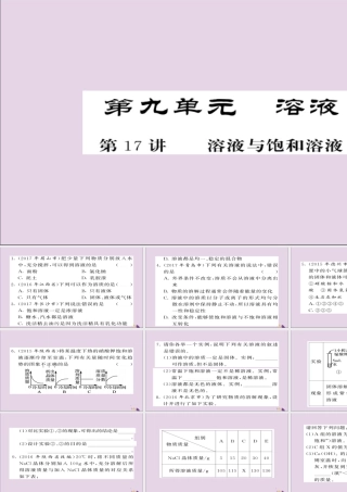 中考化学总复习 第一轮复习 系统梳理 夯基固本 第17讲 溶液与饱和溶液练习课件