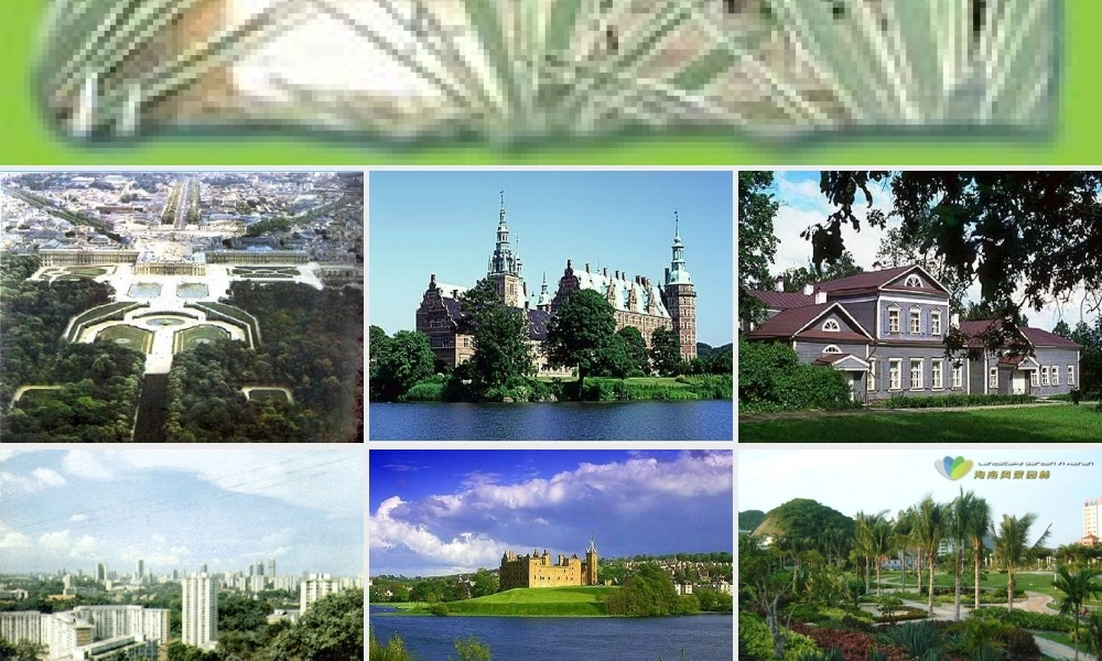 九年级语文上册 (风行绿墙)优秀实用课件 苏教版 课件