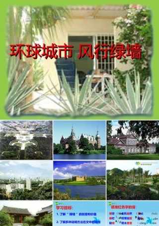 九年级语文上册 (风行绿墙)优秀实用课件 苏教版 课件