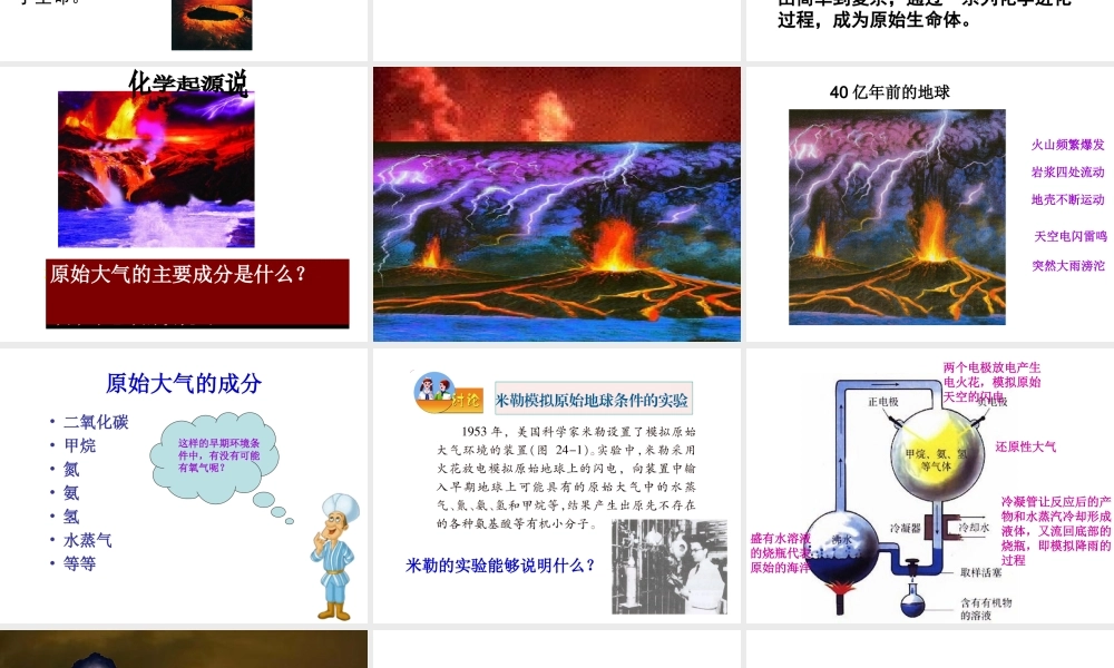 生命的诞生课件