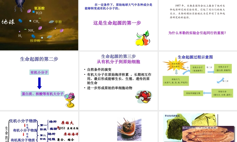 生命的诞生课件