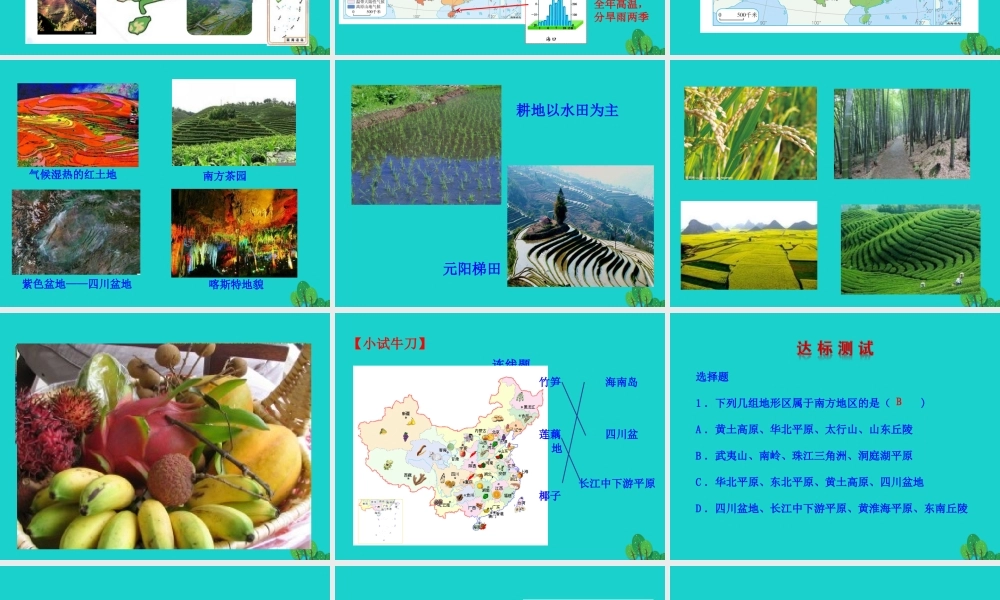 八年级地理下册 第七章 第一节 自然特征与农业课件 八年级地理下册 第七章 第一节 自然特征与农业课件+素材(新版)新人教版 八年级地理下册 第七章 第一节 自然特征与农业课件+素材(新版)新人教版