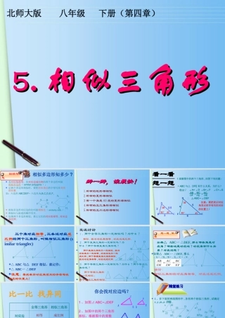 八年级数学下册 5.相似三角形课件 北师大版 课件