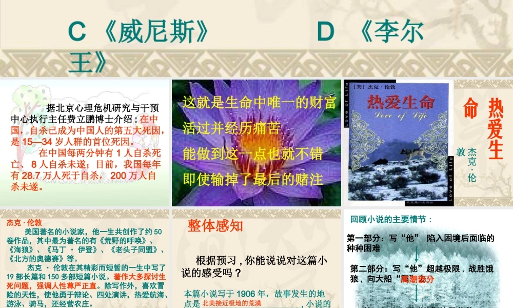 九年级语文热爱生命2课件