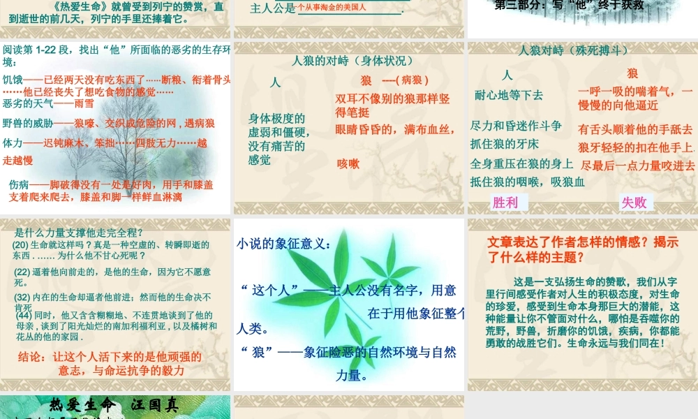 九年级语文热爱生命2课件