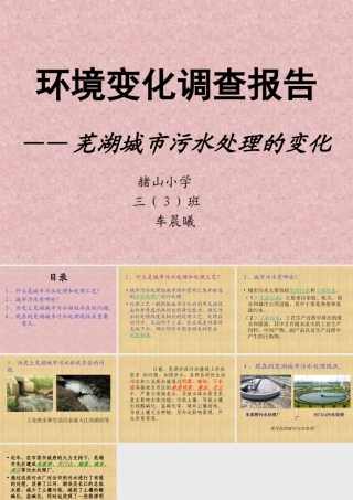 环境变化调查报告（车晨曦）