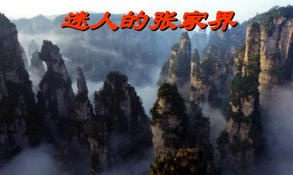《迷人的张家界》PPT课件1