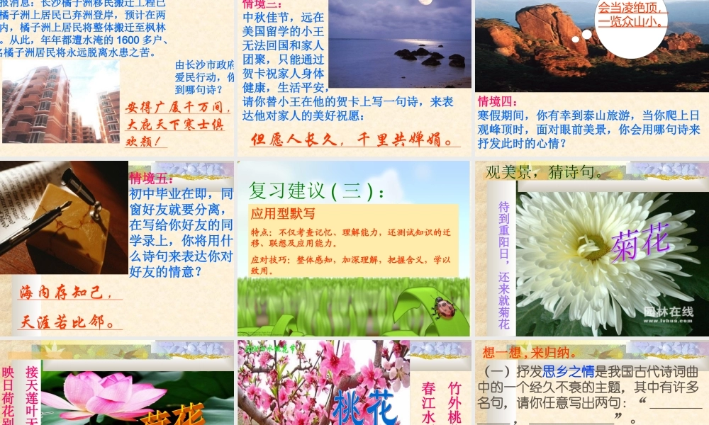 古_诗_词_积_累和运用