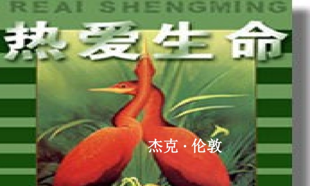 中学九年级语文下册 8(热爱生命)课件2 新人教版 课件