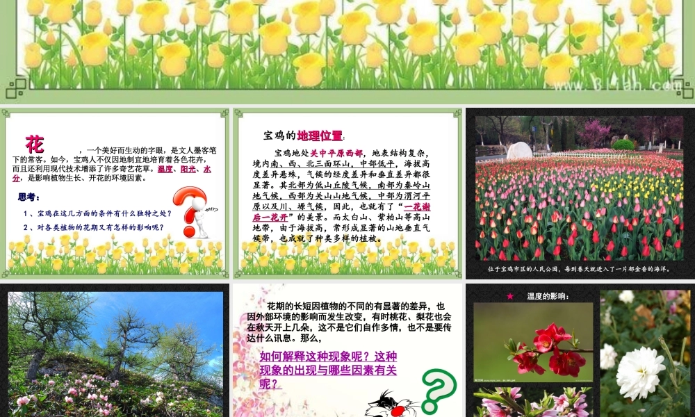 美丽宝鸡七年级下册第四课宝鸡大地百花开
