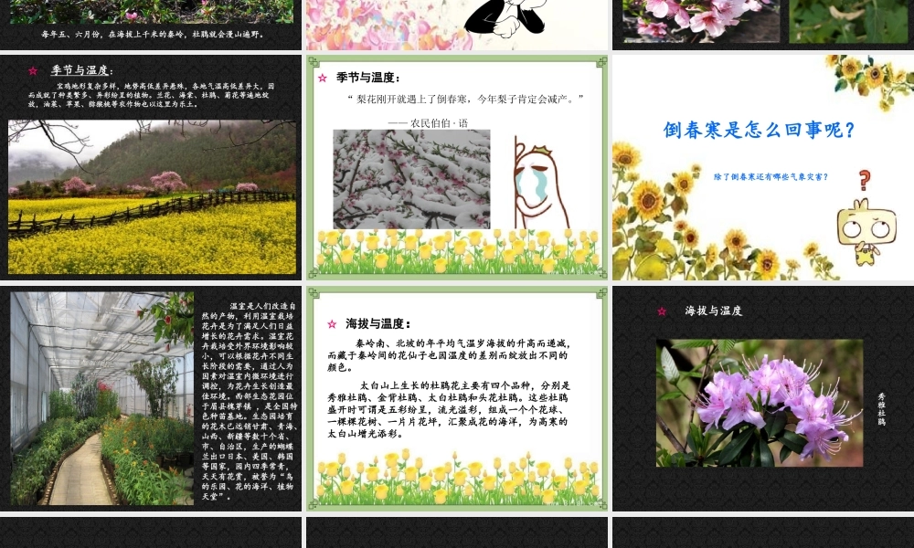 美丽宝鸡七年级下册第四课宝鸡大地百花开