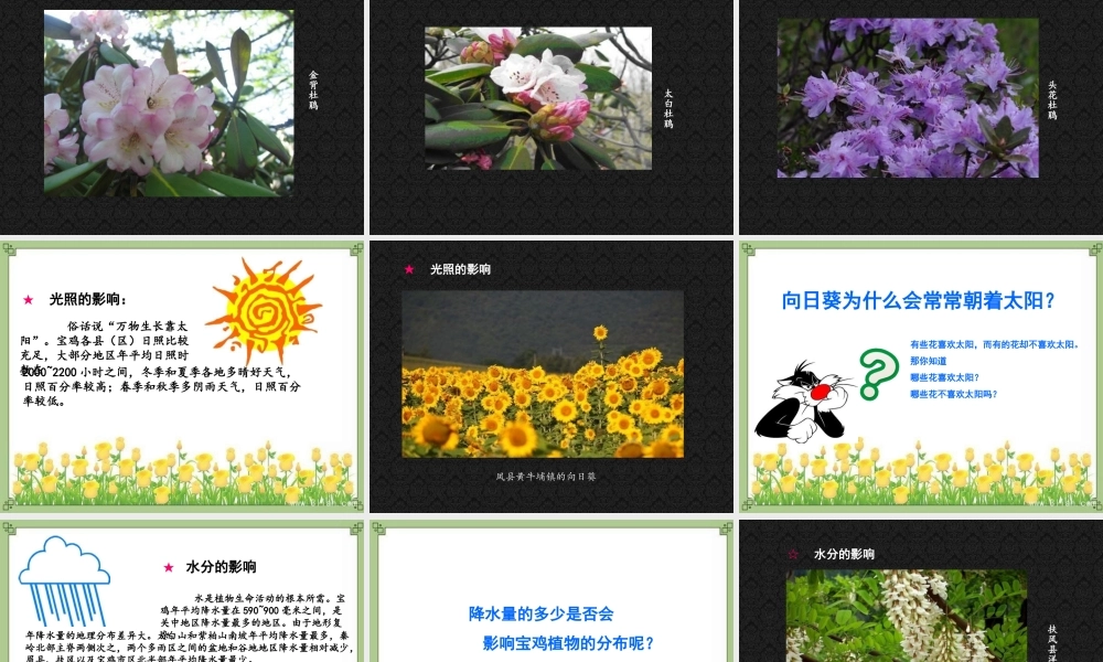 美丽宝鸡七年级下册第四课宝鸡大地百花开