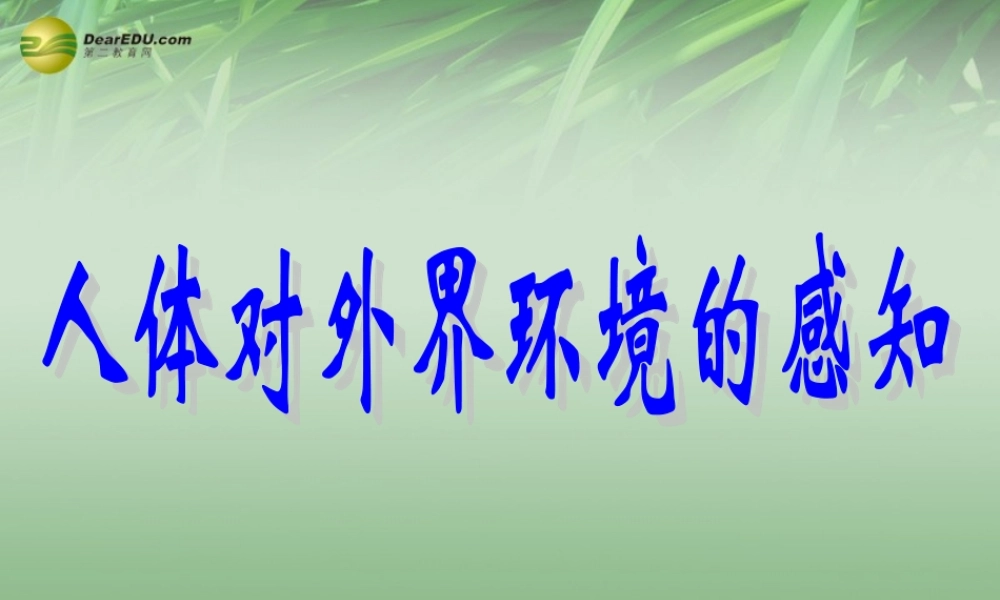 八年级生物下册 第六章 人体对外界环境的感知复习配套课件2 鲁科版 课件