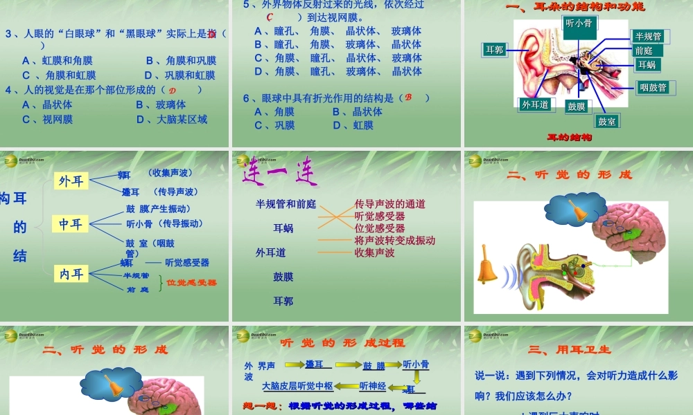 八年级生物下册 第六章 人体对外界环境的感知复习配套课件2 鲁科版 课件