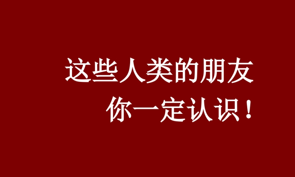 初中一年级语文上册第四单元18绿色蝈蝈课件