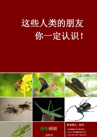 初中一年级语文上册第四单元18绿色蝈蝈课件