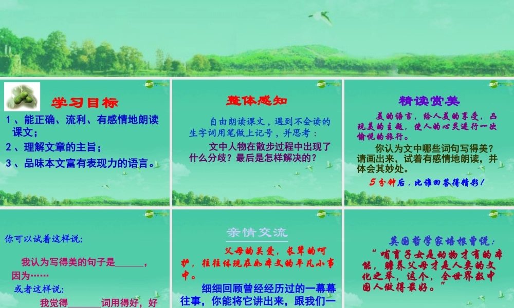 七年级语文上册 散步课件 人教新课标版 课件