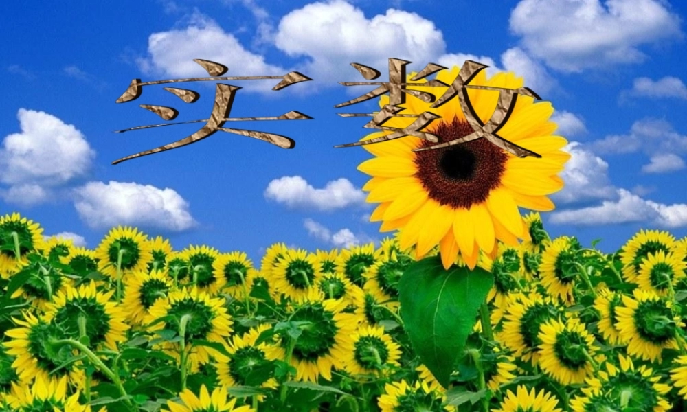 八年级数学实数课件(3)湘教版 课件