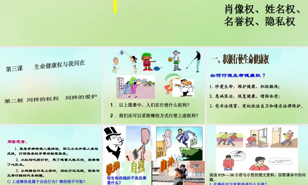 八年级政治下册 第二单元 第三课 第2框 同样的权利同样的爱护课件 新人教版 课件
