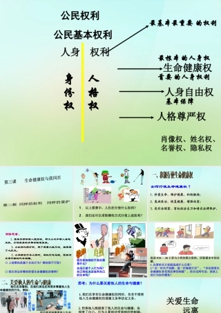 八年级政治下册 第二单元 第三课 第2框 同样的权利同样的爱护课件 新人教版 课件