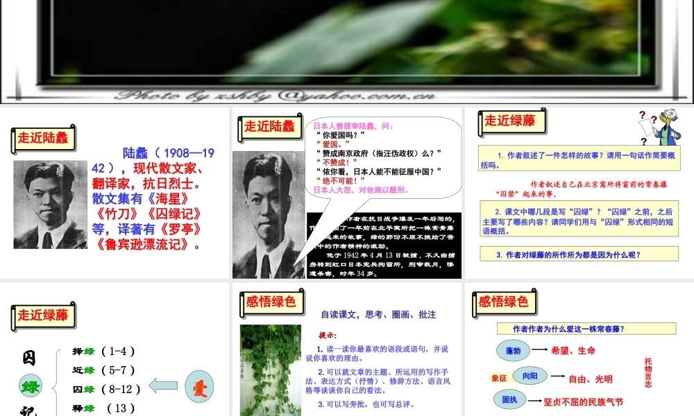 （定稿）囚绿记