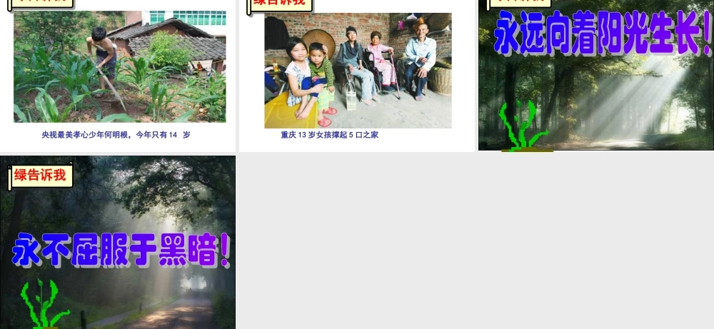 （定稿）囚绿记