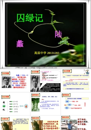 （定稿）囚绿记