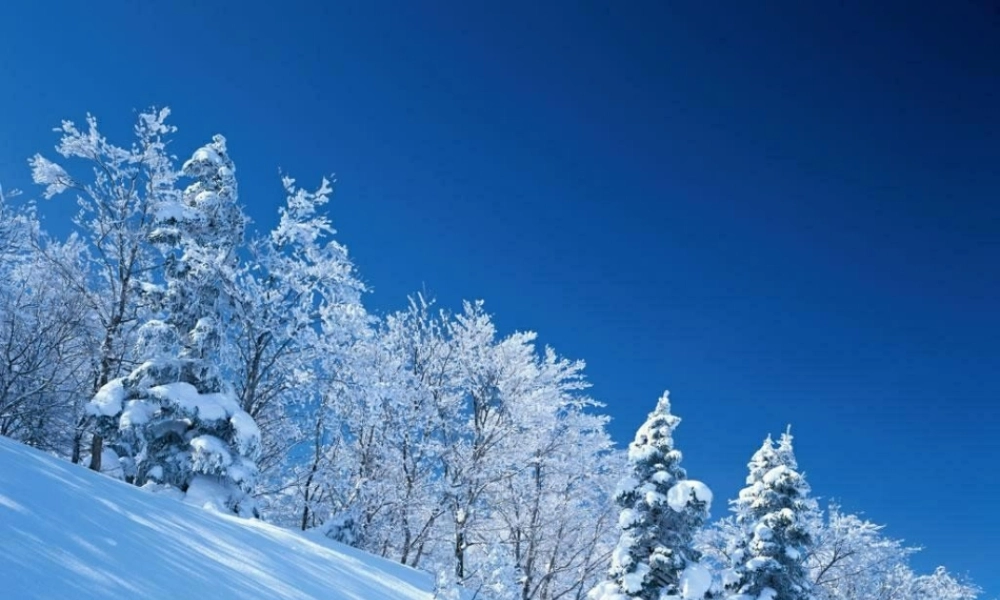 中学七年级语文上册(济南的冬天)课件 新人教版 课件