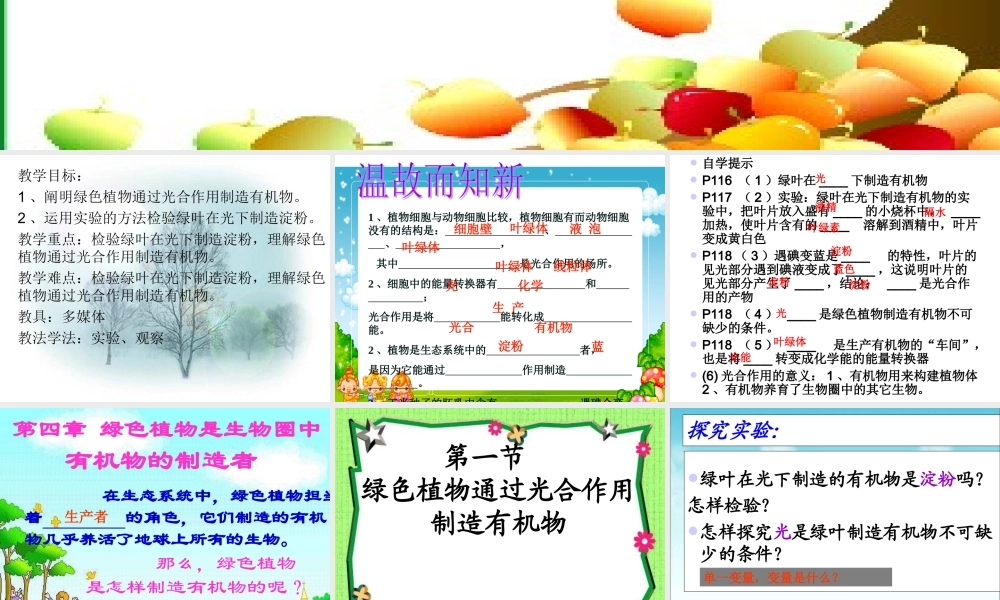 科学·技术·社会-现代化温室