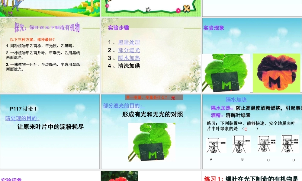 科学·技术·社会-现代化温室