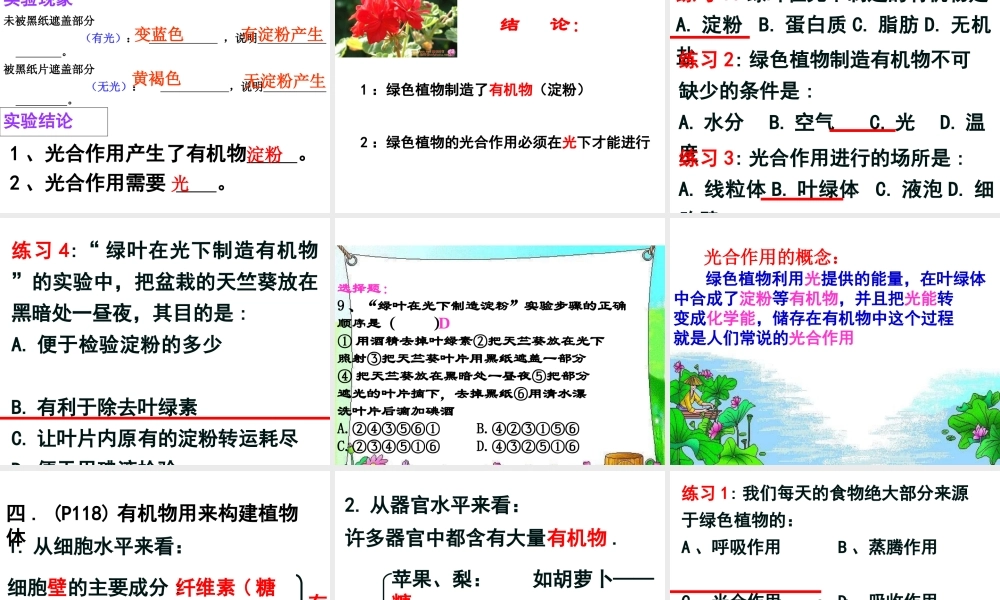 科学·技术·社会-现代化温室