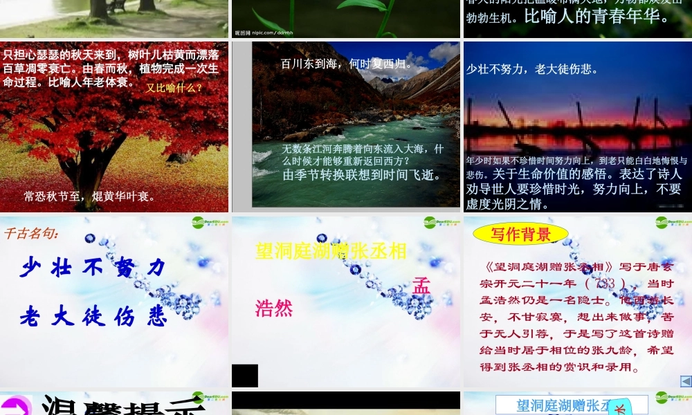 八年级语文下册(诗词五首)教学课件 语文版 课件