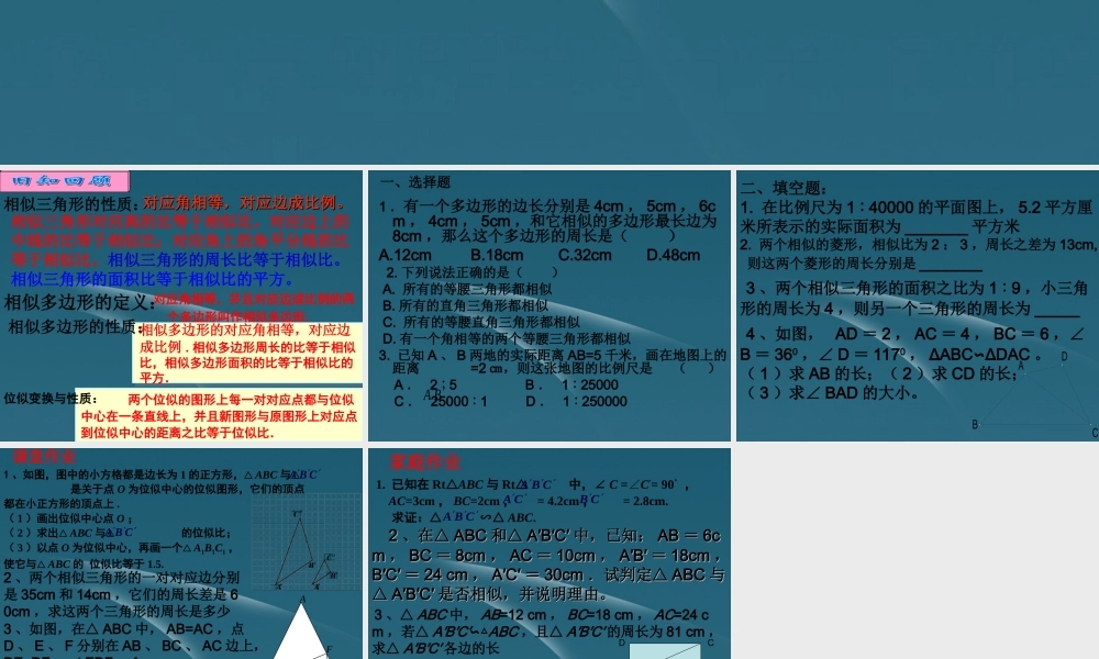 九年级数学(相似三角形)复习课件