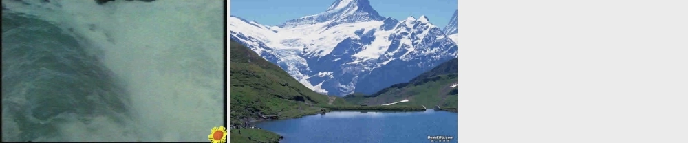 地势和地形八年级地理上册第二章课件示例 课件