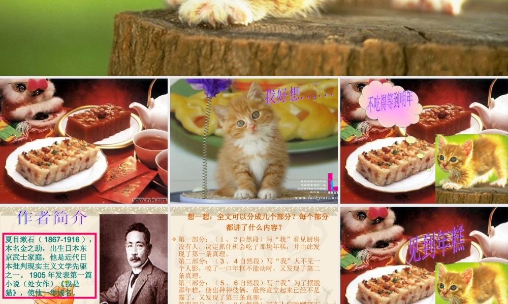 27我是猫-(2)