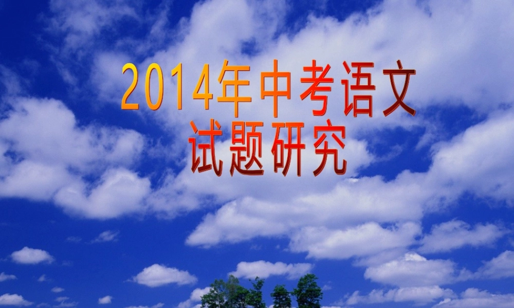 2014年中考语文试题研究