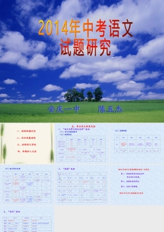 2014年中考语文试题研究