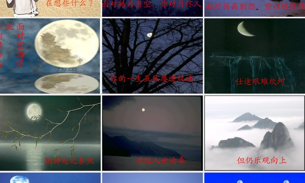 水调歌头公开课