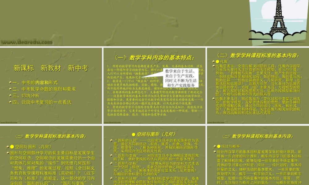 中考数学 新课标新教材新中考 试题