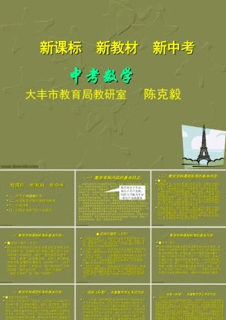 中考数学 新课标新教材新中考 试题