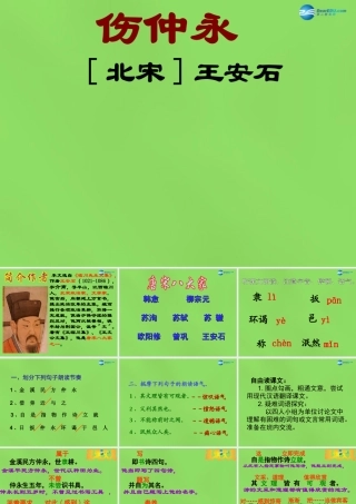 中学七年级语文下册(第5课 伤仲永)课件2 新人教版 课件