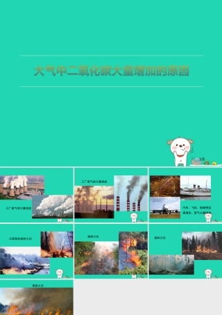 七年级生物上册 3.7.1(能量的释放和利用)大气中二氧化碳大量增加的原因拓展资料素材 (新版)苏科版 素材