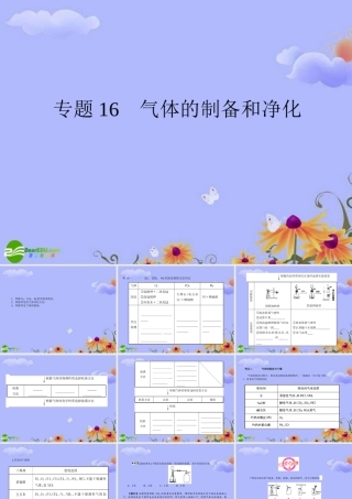 中考化学 专题16 气体的制备和净化复习课件 人教新课标版 课件