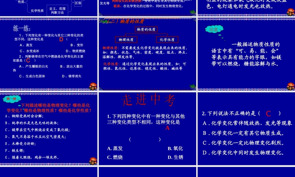 物质的变化和性质复习