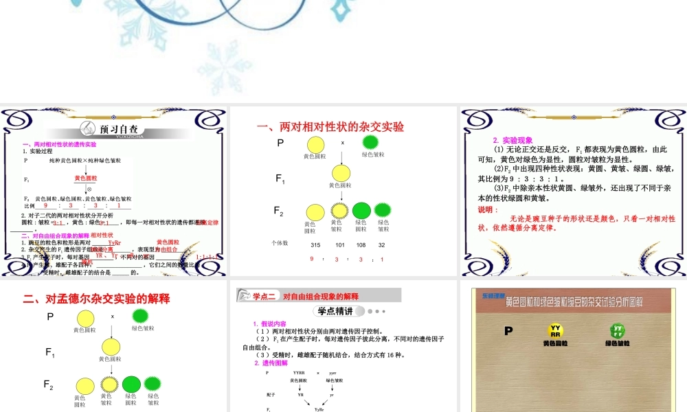 基因自由组合定律(正式敲定)