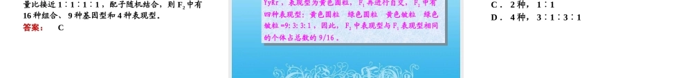 基因自由组合定律(正式敲定)