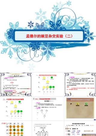 基因自由组合定律(正式敲定)