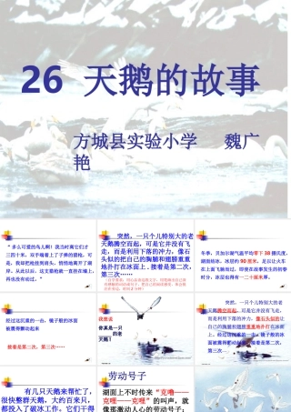 26天鹅的故事