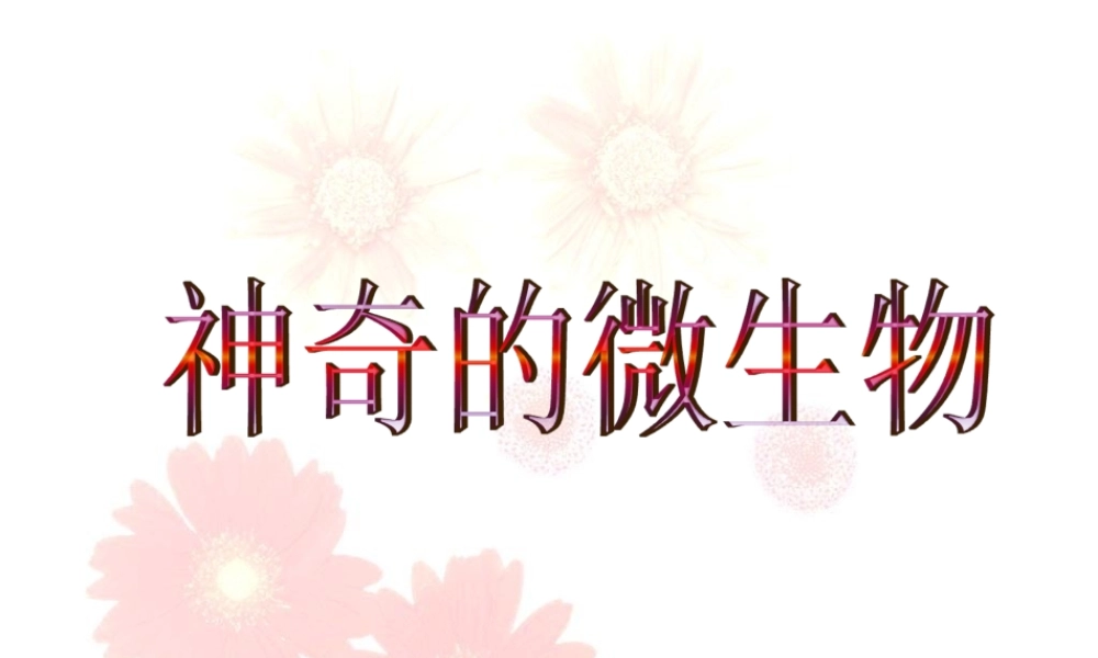 《第三节-神奇的微生物》课件4
